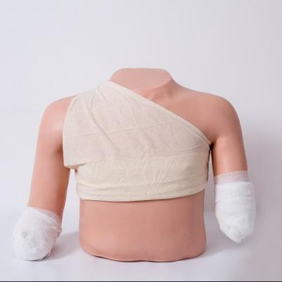 China GD/LV13 Hospital General Doctor Advanced Bandaging Model From Top Position (Medical Model) for sale