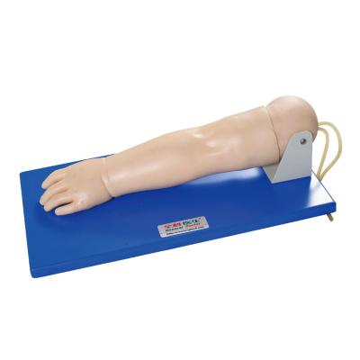 China General Hospitals Doctor Pediatric Veinpuncture Arm Model For Schools Puncture Training for sale