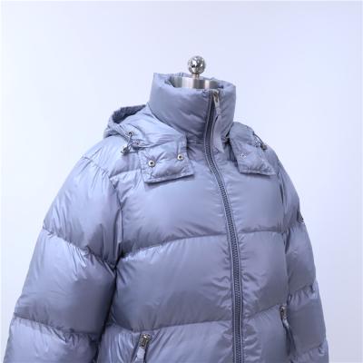 China Anti-wrinkle 2022 New Winter Stylish Swap Simple Loose Winter Women's Down Jackets for sale