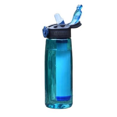 China Realsin Eco-friendly Personal Water Filter Straw And Filter Straw Bottle For Emergency Hiking Camping for sale