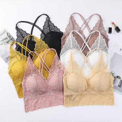 China Sexy Breathable French Lace Lingerie Wrap Chest Non Rim Beauty Cross Back Bra Gathered Lift Up Removable Padded Bralette De Encaje for sale