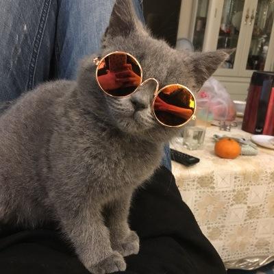 China Wholesale Fashion Sunglasses FanYue Dog Sunglasses Cat Sunglasses Cute Plush Toy Stuffed Toys Sunglasses Pet Accessories for sale