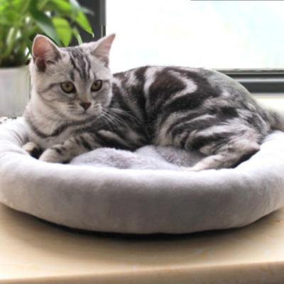 China Viable Cute Soft Tart Dog Litter Fiber Soft Tart Dog Cat Litter Bed Egg Sofa Bed Egg Pet Bed Pet Bed for sale