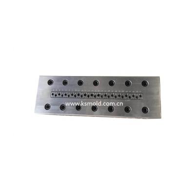 China Factory Price PVC WPC Door Panel Extrusion Mold Steel Mold Tool Die for sale