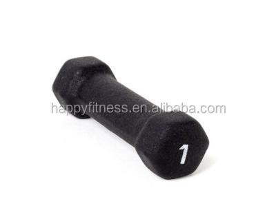 China Rubber Covered Dumbbell Weight Walmart Magnetic Dumbbell for sale