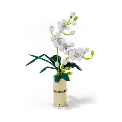 China DIY Store Creative Decoration Phalaenopsis Flower DIY Practice Orchid Building Block For Christmas Gift for sale