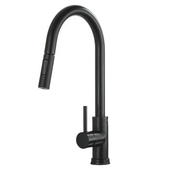 China Hot Selling Design New Model Black Water Single Handle Faucet Kitchen Sink Thermostatic Faucets For Sale for sale