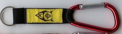 China As cores de Pantone personalizaram Carabiner Keychain para esportes de escalada à venda