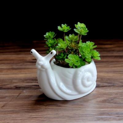 China 1pc Cartoon Pastoral Snail Ceramic Planter for Succulents Succulents Desktop Mini Cactus Flower Pot Home Decorative Garden Decor for sale