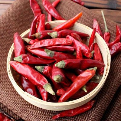 China Lower Price Dry Red Hot Yidu Chili Birds Eye Chilli Solid Dry Pepper Ripened Chili Sundried zu verkaufen