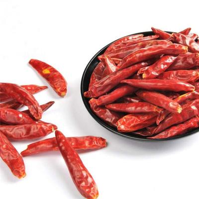 China China factory direct sales cost effective dried red chilli peppers Single Herbs & Spices for sale