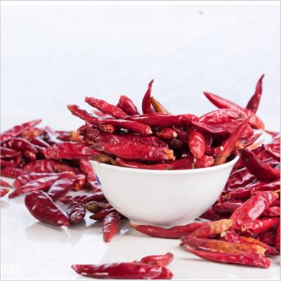 China Factory sale sweet chili for cooking red dried paprika Single Herbs & Spices for sale