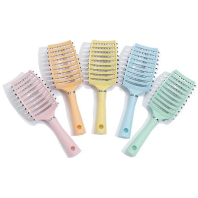 China Nondisposable Hairbrush Women Comb Massage Hair Wet Curly Detangle Wave Brush For Salon Hairdressing Styling Tools for sale