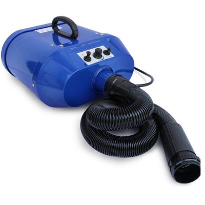 China 2800W Motor Temperature Control Dog Viable Low Noise Stemless Hair Dryer for sale