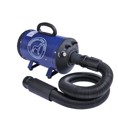 China Viable Single Motor High Power Cat Dog Water Blaster Blower Pet Grooming Hair Dryer for sale