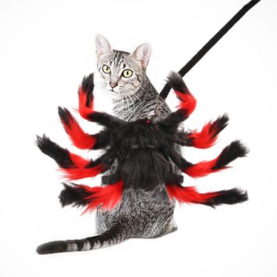 China Personalized Pet Supplies Cats Halloween Christmas Chest Strap Spider Leash Pet Supplies for sale