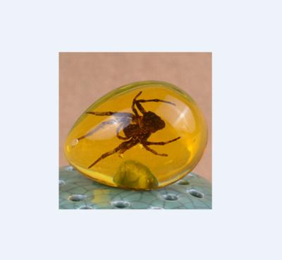 China China Art Collections 5cm Spider in Amber Insects Specimen for sale