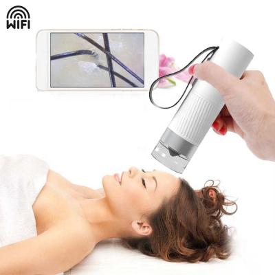 China Plastic Scalp 480X Hair Follicle Image Handheld Video Microscope Camera Wireless Digital Magnifier for sale