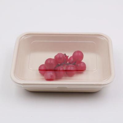 China Biodegradable Biodegradable Sugarcane Bagasse Lunch Food Take Out Box With Lid for sale