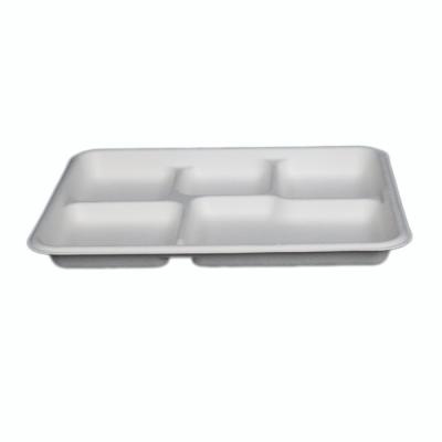 China 5 Compartments Traditional Disposable Biodegradable Sugar Cane Bagasse Pulp Dishes Dishes for sale