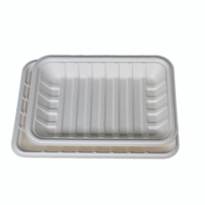 China Microwavable Biodegradable Compostable Bagasse Pulp Meat Packing Tray for sale