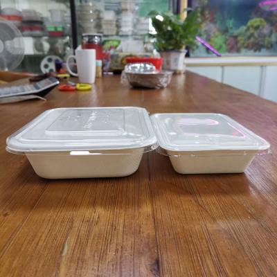 China Food Take Out Bagasse Food Container With Plastic Lids for sale