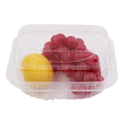 China Eco Friendly Compostable Plastic Clamshell Food Packaging for sale