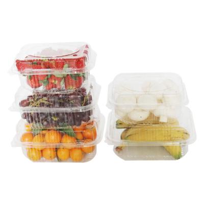 China Eco-friendly Transparent Biodegradable 100 Pla Fruit Salad Packaging for sale