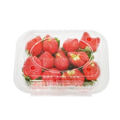 China eco friendly transparent biodegradable cornstarch pla food packaging for sale