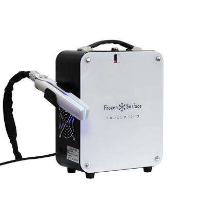 China Hair Loss Prevention Professional Hair Treatment Cryolipolysis Frozen Frozen Flat Iron Hair Care Machine for sale