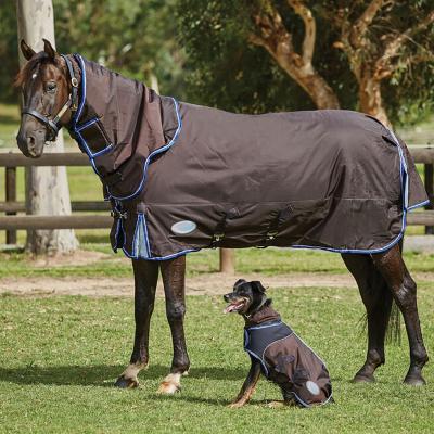 China Wholesale Customize Combo Horse Blanket Assembly Equestrian Equine Stable Blanket and Dog Coat High Quality Pet Clothes Accept Custom Sizes for sale