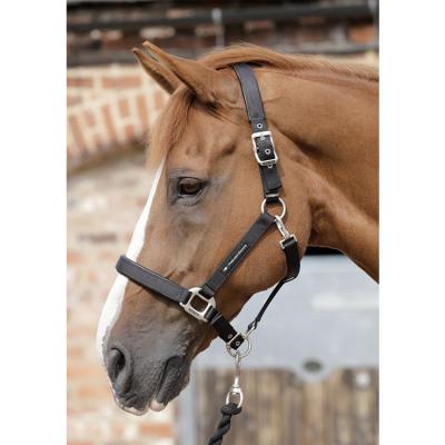 China PP Plain Padded Horse Head Collar for sale