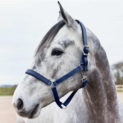 China Wholesale Modern Customize High Quality Practical Horse Halters Halter For Horses Equine Head Collar Durable 100% Polyester Halter for sale