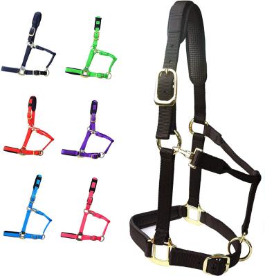 China Western saddle horse halter adjustable with cushioned padding for sale