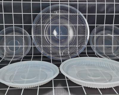 China Factory Price New 10 Inch Disposable Food Grade Plastic Bulk Disposable Dish for sale