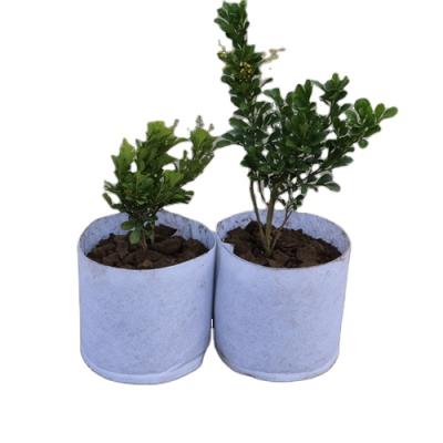 China Durable Hot Sale Christmas Tree Planting Kit With Handles for sale