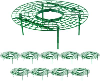 China Non-Toxic Material Strawberry Frame Strawberry Cultivation Stand Plant Stand Green Strawberry Frame for sale