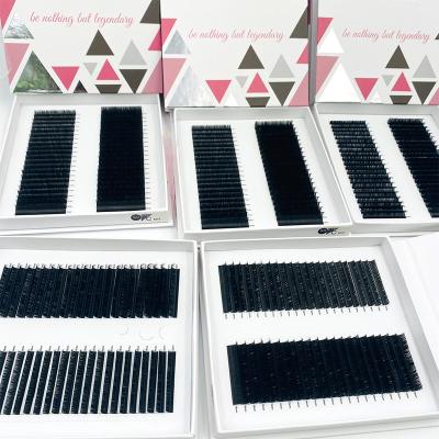 China Manufacturer Supply Natural Eyelash D Volume Dual Density Curl Soft Lash Lashes For Christmas Day Silk Individual Eyelash Extension Wholesale for sale