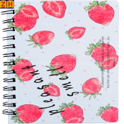 China Customized Logo Journal Blank Spiral Notebook And Diary for sale