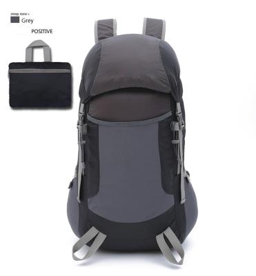 China Fashion Multifunctional Lightweight Foldable Backpack Backpack Large Capacity Mountain Waterproof Hiking Backpack for sale