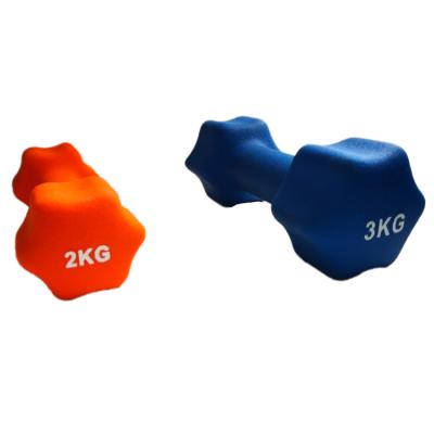 China Universal Gym Dumbbell Cast Dumbbell Neoprene Vinyl Dipping Fitness for sale