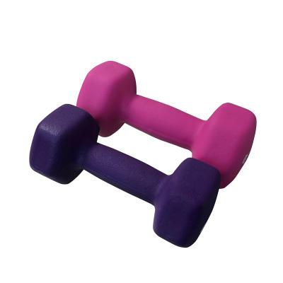 China Universal Gym Dumbbell Pink Neoprene Vinyl Custom Dip Fitness for sale