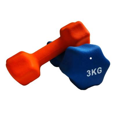 China Universal Wholesale Vinyl Neoprene Cast Dumbbell Customized OEM Gym Dip Fitness for sale