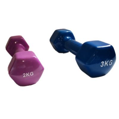 China 2022 High Quality Universal Vinyl Neoprene Dumbbell Customized OEM Gym Dip Fitness for sale