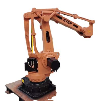 China Industrial Robot Grab Palletizing Following Palletizing High Speed ​​Case Solution for sale