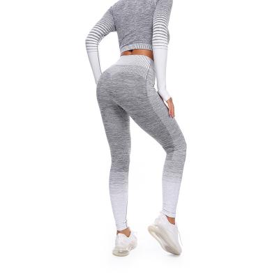 China UGOO Seamless Sports Butt Lift Legging Autumn Winter Yoga Knitted Legging for sale