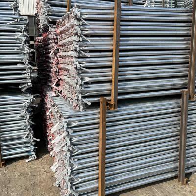 China Industrial Wholesale 42*2.75*600 3.99kg Scaffolding Hot Galvanized Diagonal Bar for sale