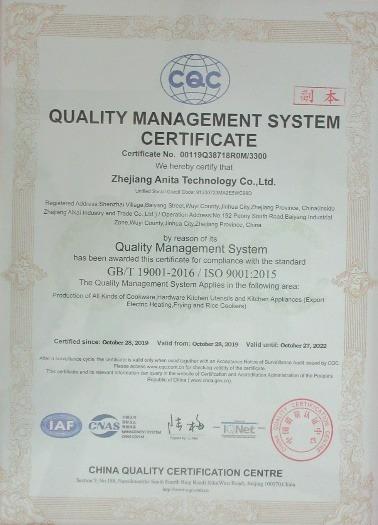 ISO9001 - Zhejiang Anita Technology Co., Ltd.