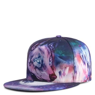 China Sublimation JOINT Wholesale Women Snapback Cap Hip Hop Hat and Snapback Hat Panels Pattern Cover Custom Logo for sale