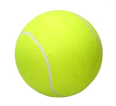 China Good Quality Training Promotional Professional Tennis Ball Without Logo for sale